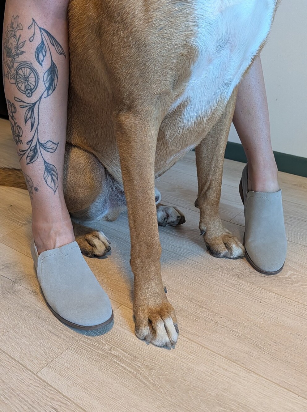 TOMS Grey Suede Slip On Ankle Booties Block Heel Loafer Shooties Size 8.5